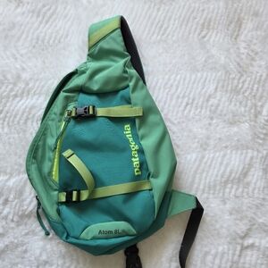 Patagonia Atom  green  Backpack